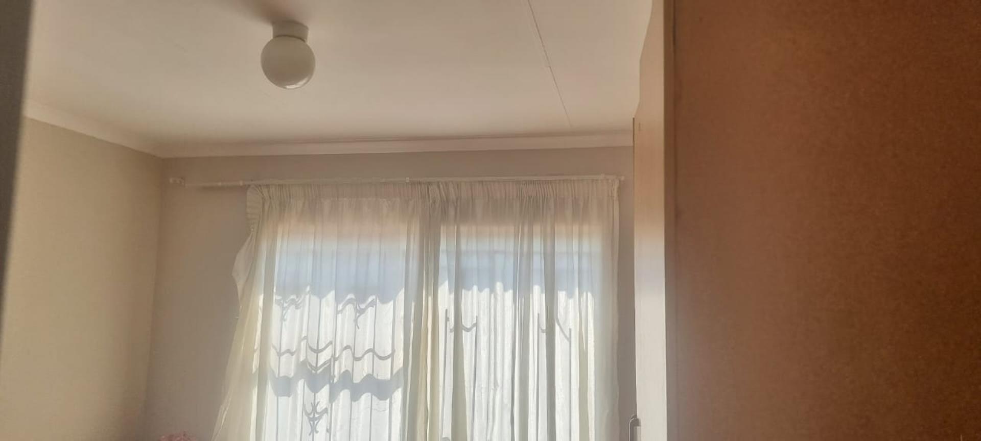 295571357.jpg