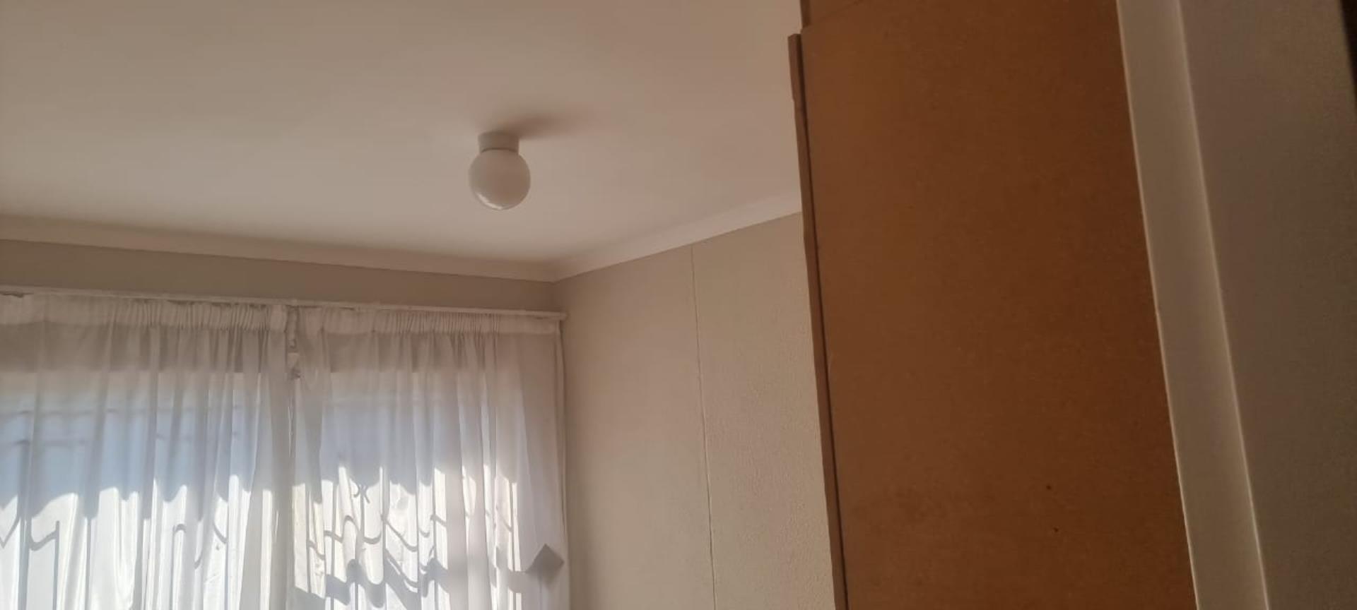 295571359.jpg
