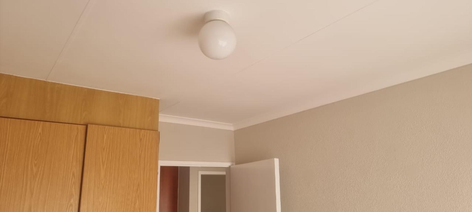 295571369.jpg