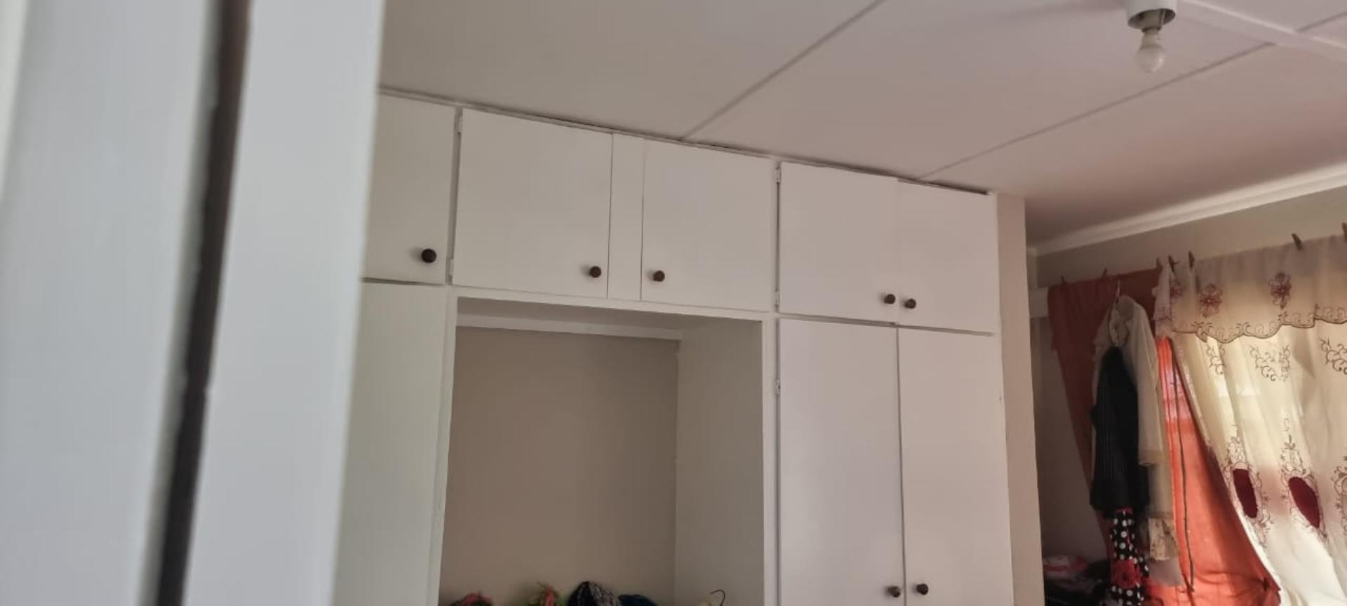 295583130.jpg