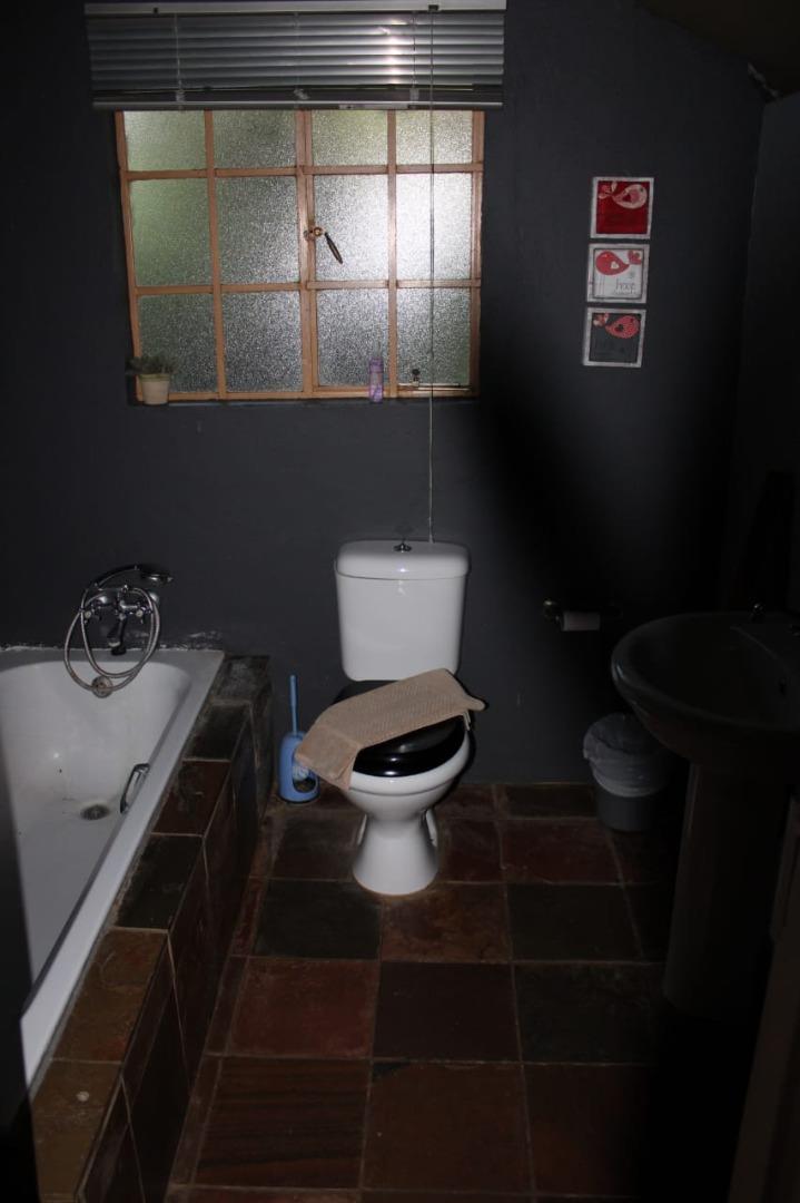 298054093.jpg