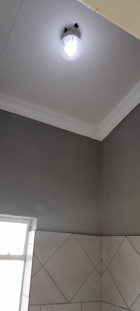710410_IMG_20240402_163217.jpg