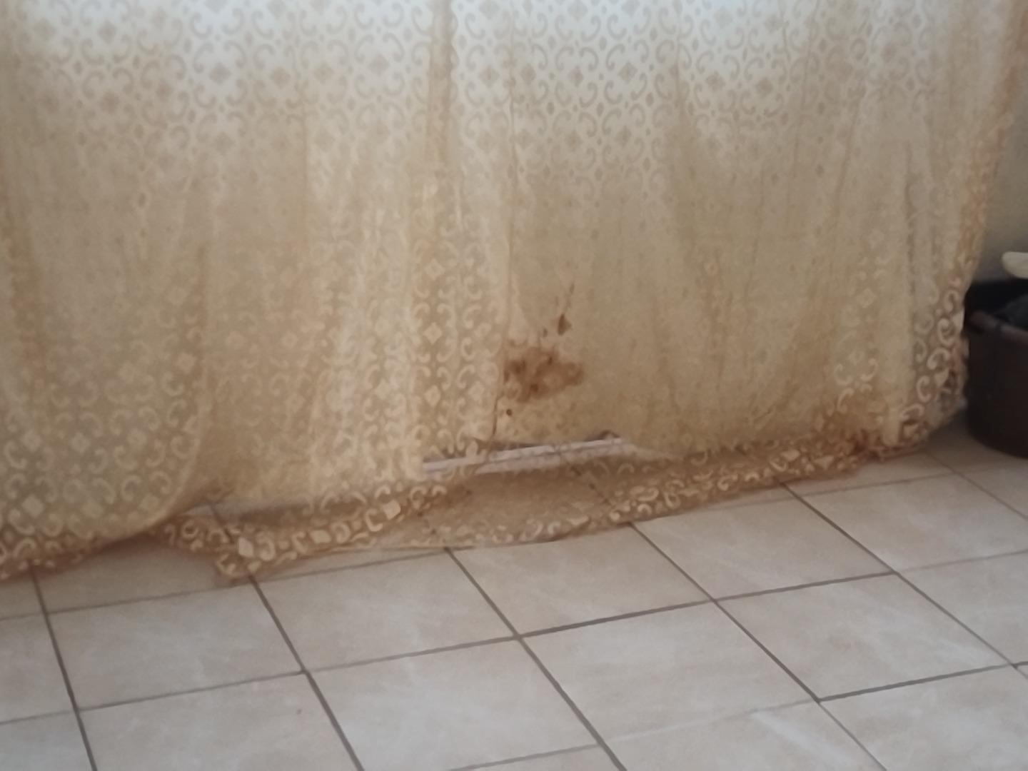 712250_IMG_20240519_103706.jpg