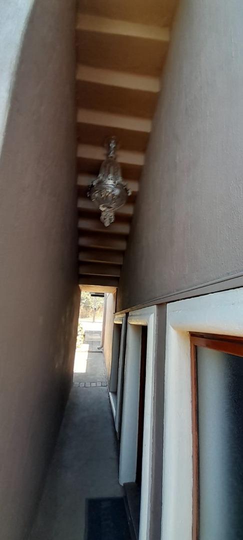 730111_WhatsApp_Image_2024-11-01_at_15.19.56_19b6ce73.jpg