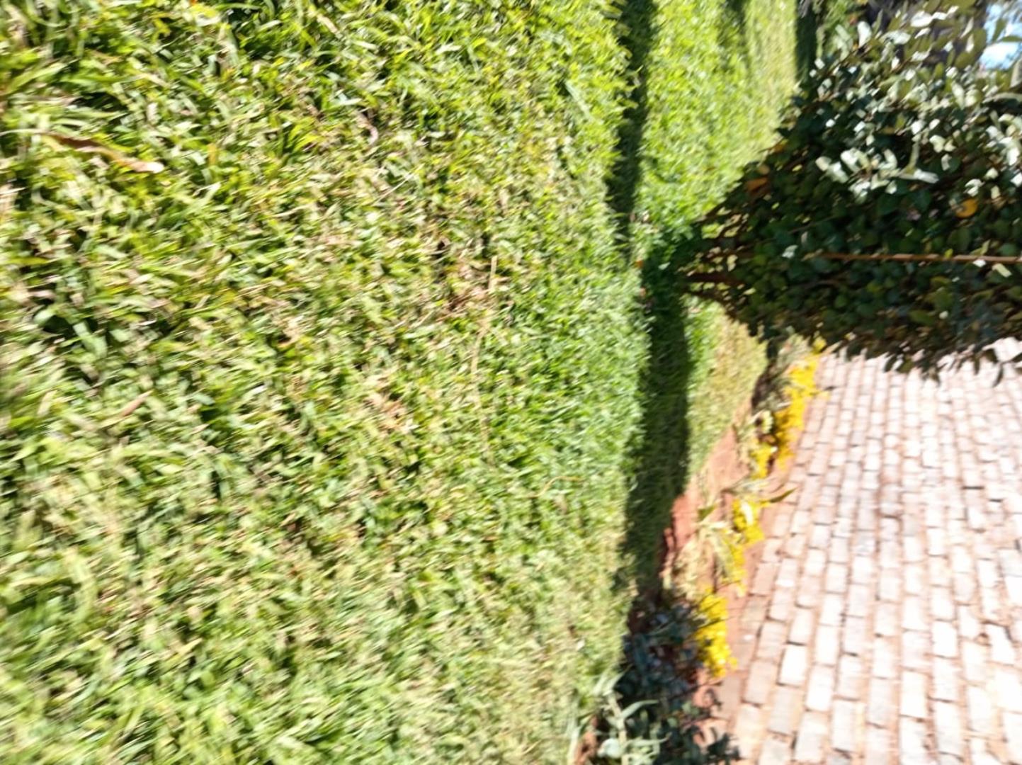 750926_IMG-20250527-WA0009.jpg